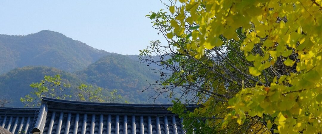 강화도 여행, 전등사·강화평화전망대·석모도로 이어지는 1박 2일 코스