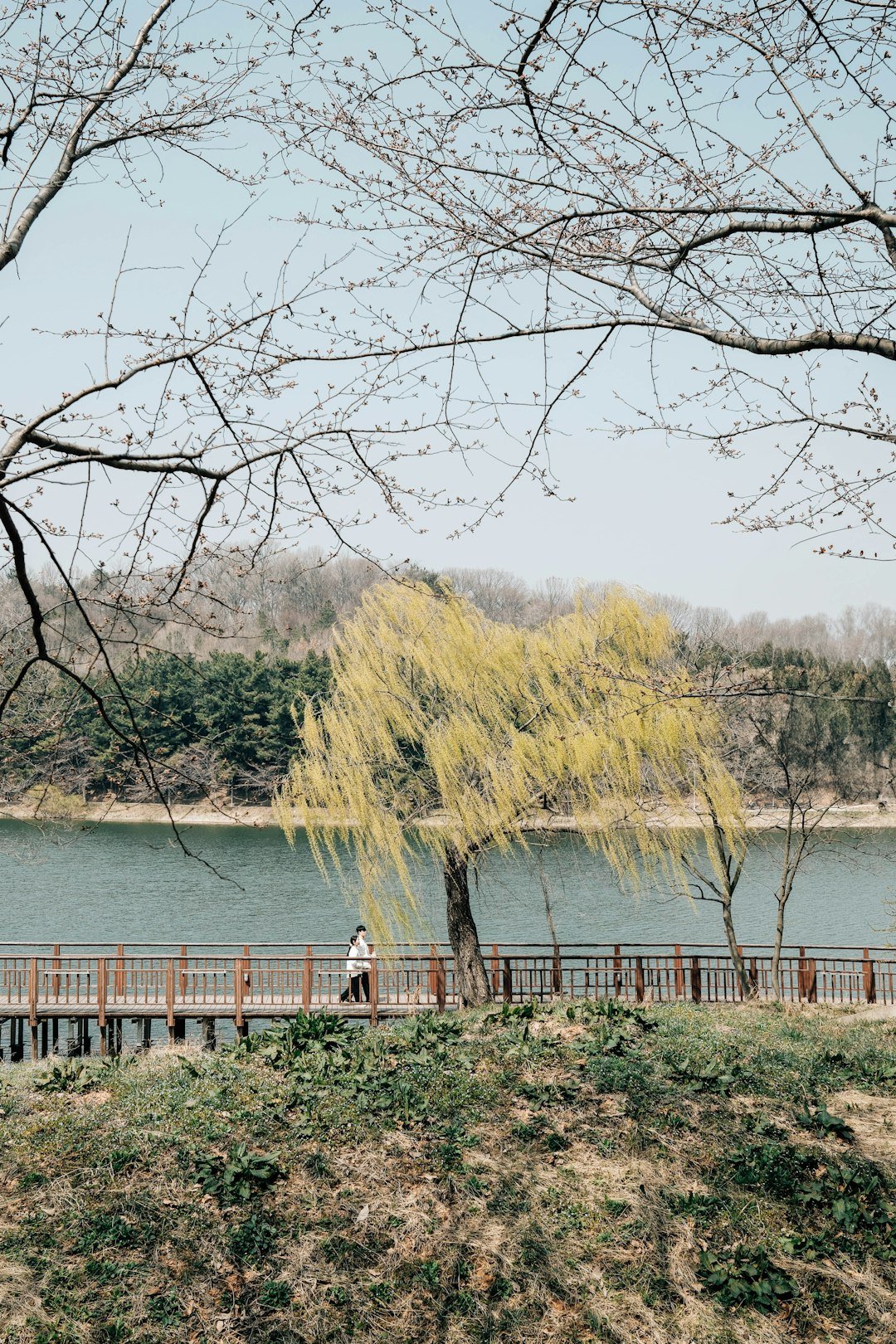 경기도 가평·양평 여행 대표 이미지, 호수와 다리가 어우러진 자연 풍경