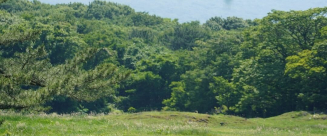 안성·평택 여행, 안성팜랜드·안성맞춤랜드·평택호로 이어지는 1박 2일 코스