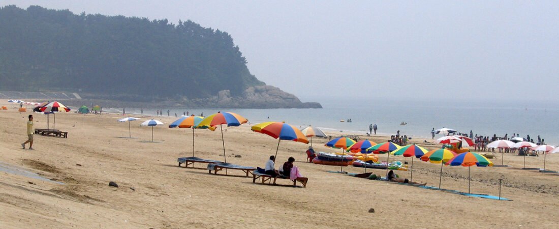 보령·서천 1박 2일 여행 | 대천해수욕장·무창포·국립생태원·장항송림 코스