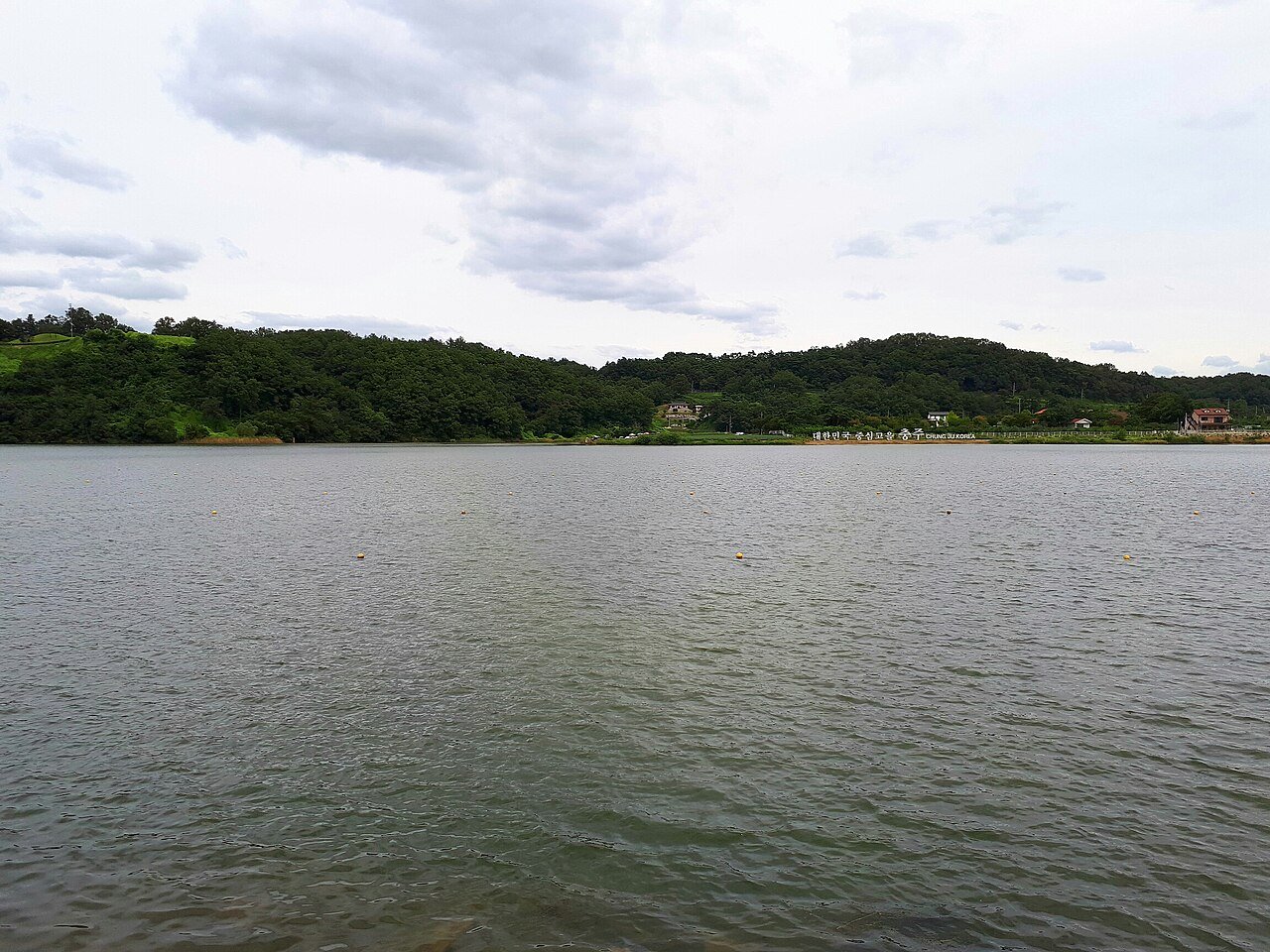 충주시 중앙탑 권역 탄금호의 물빛과 주변 자연 풍경 실제 사진