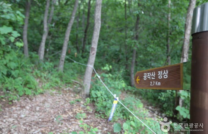 공작산 여행·등산 가이드 | 공작현·정상·수타사·수타계곡