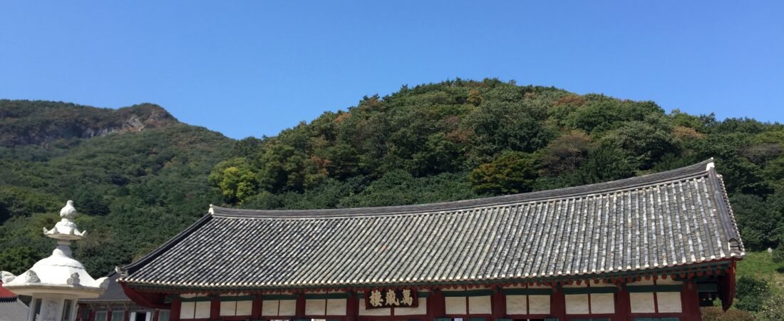 29. 선운사 여행가이드 | 동백숲과 꽃무릇, 선운산의 계절을 품은 고찰