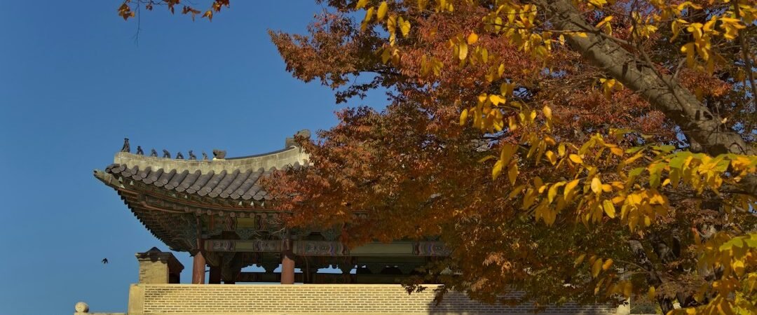 공주·대전 여행, 공산성·무령왕릉·국립공주박물관·유성으로 이어지는 1박 2일 코스