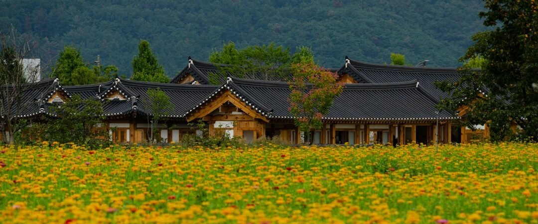 천안·아산 여행, 독립기념관·현충사·외암민속마을·신정호로 이어지는 1박 2일 코스