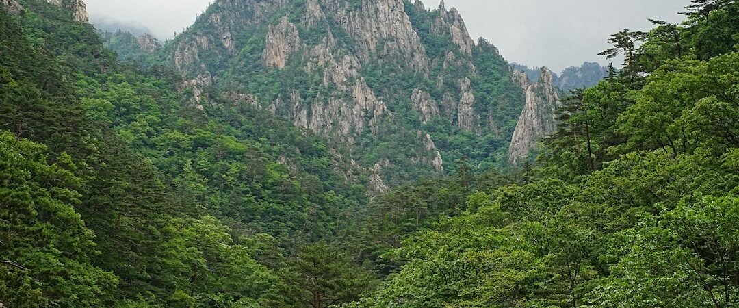 철원·화천 여행, 한탄강 주상절리길·고석정·산소길·파로호로 이어지는 1박 2일 코스