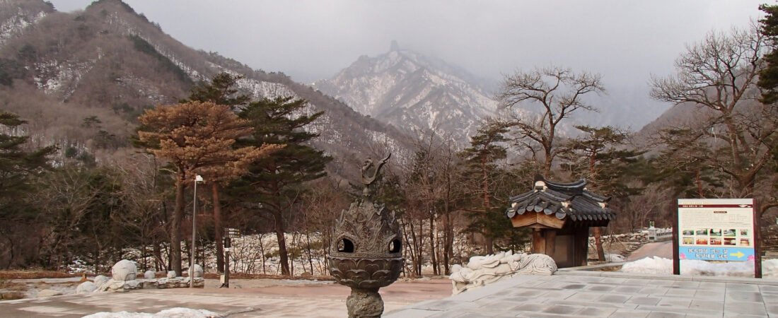 16. 신흥사 여행 가이드 | 설악산 통일대불·극락보전·숲길