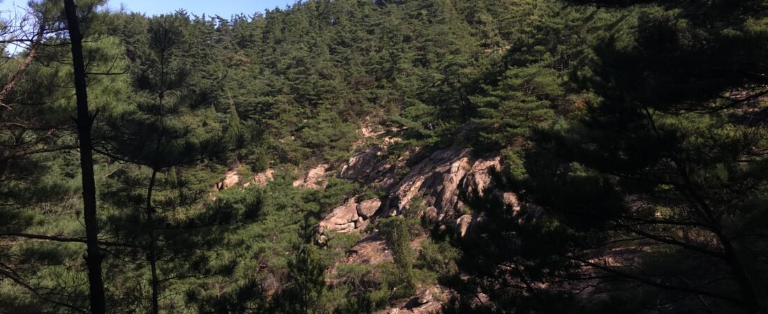 경주 남산 여행·등산 가이드 | 삼릉·금오봉·칠불암 문화산행